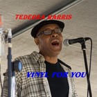 Picture for song '01 - Track 1 I Never Thought' by artist 'Tederra Harris'