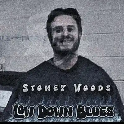 Picture for song 'Low Down Blues (instrumental)' by artist 'TEK97 Woods'