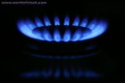 Picture for song 'Blue Flames' by artist 'The Blowtorches'