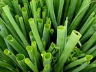 Picture for song 'Green Onions' by artist 'The Caravan'