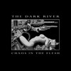 Picture for song 'Within the shadow of Asylum. Act 1' by artist 'The Dark River'