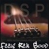 Picture for song 'Feels Real Good' by artist 'The David Samuel Project'