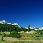 Picture for song 'Medows' by artist 'The Electric Cow Bell Project'