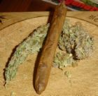 Picture for song 'Ride'N'Smoke' by artist 'THE E'S'
