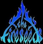 Picture for song 'buckshot woman blues' by artist 'The Fireseeds'