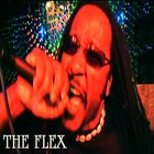 Picture for song 'THE FLEX' by artist 'MORRIS THE FUNKASAURUS'