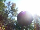 Picture for song 'Perfect World' by artist 'THE FUTZ'