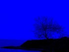 Picture for song 'In the Weight of the Night' by artist 'The Heart Beat Files'