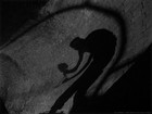 Picture for song 'in the shade' by artist 'The Hunchback'