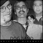 Picture for song 'Make A Good Thing' by artist 'theLonzoDogBand'