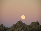 Picture for song 'In My Heart' by artist 'The Marmot Band'