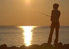 Picture for song 'Catfish' by artist 'The Middle Agent'