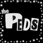 Picture for song 'Undivided Attention (Live)' by artist 'The Peds'