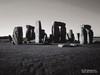 Picture for song 'Red Bone' by artist 'The Pyramid'