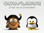 Picture for song 'Free as in Freedom' by artist 'The Symmetry'