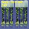 Picture for song 'Why I Like The Lab' by artist 'The Umm'