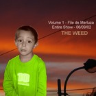 Picture for song '8-sister cover' by artist 'The Weed'