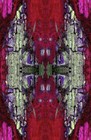 Picture for song 'Lift A Stone...' by artist 'The Well is Deep'