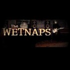 Picture for song 'Take My Love' by artist 'The WETNAPS'