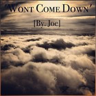 Picture for song 'Joe - Wont Come Down (Prod. By Joe)' by artist 'TheZKills'