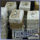 Picture for song 'Brickin' by artist 'Thundabeats'