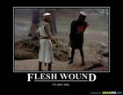 Picture for song 'Flesh Wound' by artist 'Tiger Da Beat Banga'