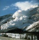 Picture for song 'DART - Avalanche' by artist 'TLG Project'