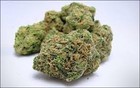 Picture for song 'Blow My High' by artist 'T-Man On Da Beat'
