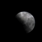 Picture for song 'Midnight Dream.mp3' by artist 'Tommy Williams'