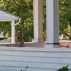 Picture for song 'Jezebel.mp3' by artist 'Tom Stephens'