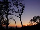 Picture for song ''Season's Change'' by artist 'Tony Delgado'