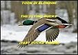 Picture for song 'The Flying Ducks (fast ducks vision)' by artist 'Toon Di Blondini'