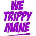 Picture for song 'TRIPPY GANG (BM4)' by artist 'TRAVIESO BEATS'
