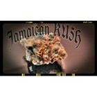 Picture for song 'Sir KUSH-A-LOT (Produced By Trippinkev)' by artist 'Trippinkev Music'