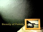 Picture for song 'Beauty of Family' by artist 'Tri-Valves'