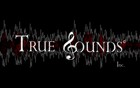 Picture for song 'No More' by artist 'True Sounds Inc'