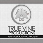 Picture for song 'I Hate Sin' by artist 'True Vine Productions'