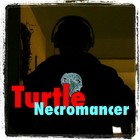 Picture for song 'New Monday' by artist 'Turtle Necromancer'