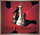 Picture for song 'Premeditated' by artist 'Turtle Necromancer'