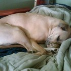 Picture for song 'George' by artist 'Tygerman Groove Band'