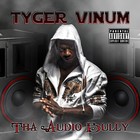 Picture for song 'Redlight City' by artist 'Tyger Vinum'