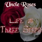 Picture for song 'The Ice Girl' by artist 'Uncle Roses'