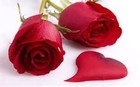 Picture for song 'ROSE' by artist 'Valerie Lynn'