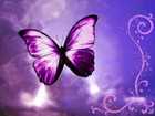 Picture for song 'Sensual' by artist 'Vashti Soul'