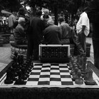 Picture for song 'Killers and Queens' by artist 'Veridikal'