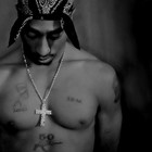 Picture for song 'Elite 11 Presents: Me Against the World (Remix)' by artist 'Vizzo Vendetta'