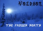 Picture for song 'Darklight' by artist 'Voldsom'