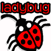 Picture for song 'Coconut - Ladybug' by artist 'When Machines Dream'