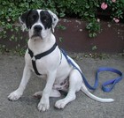 Picture for song 'Sustain' by artist 'Whitey Mckracker'