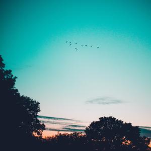 Picture for song '"All I need" Beat for Sale' by artist 'whoDeanyBeatz'